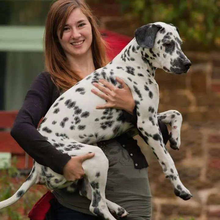 AJ Perry holding a dalmatian